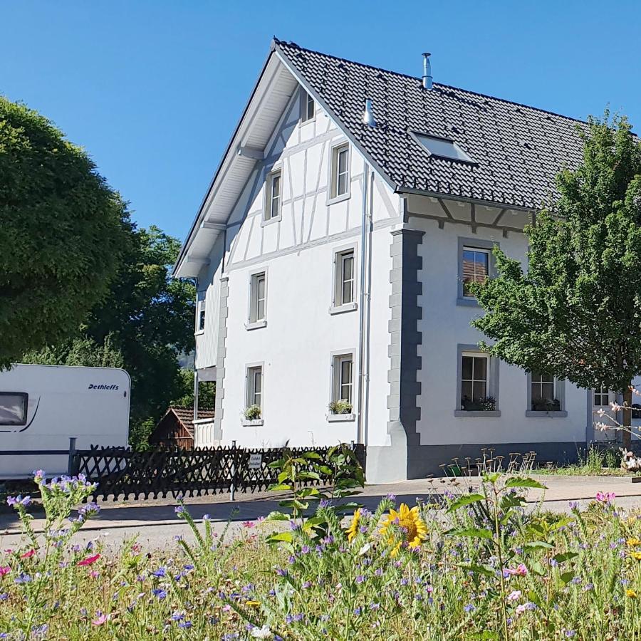 Apartment Suedwind - Beautiful Premium Apartment With 2 Bedrooms Near Rhine Falls & Zurich Airport In Klettgau Weisweil  Luaran gambar
