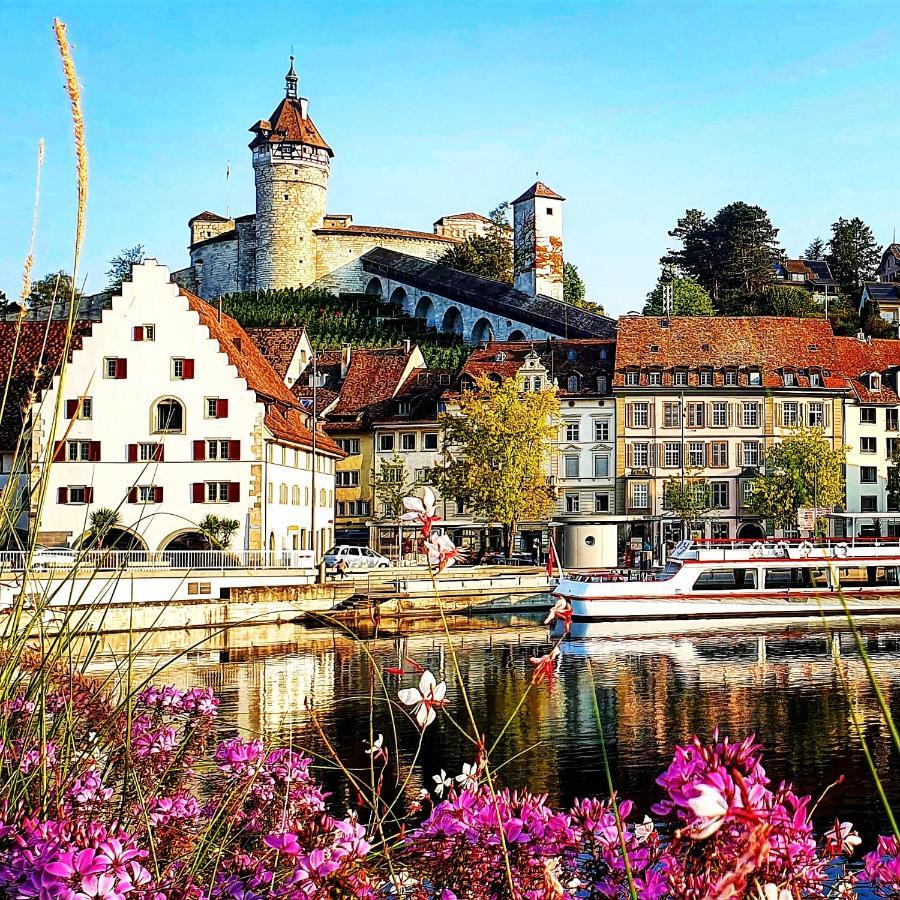 Apartment Suedwind - Beautiful Premium Apartment With 2 Bedrooms Near Rhine Falls & Zurich Airport In Klettgau Weisweil  Luaran gambar